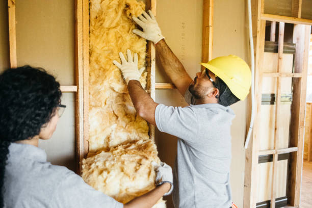 Best Wall Insulation Installation  in USA